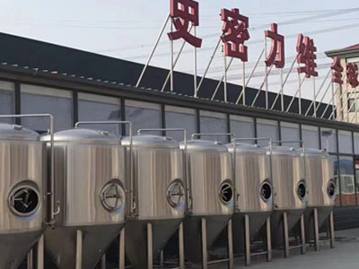 凤阳精酿啤酒设备厂—如何判断精酿啤酒设备的密封件需要更换？
